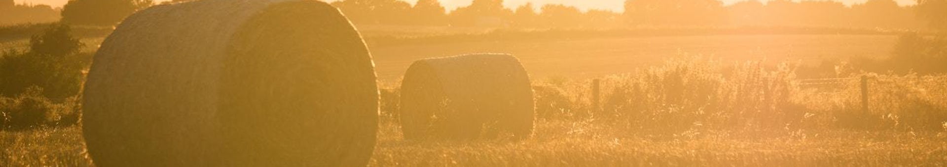 Farm