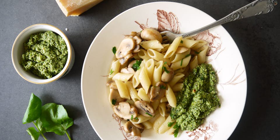 2209 Verse Penne Met Walnootwaterkerspesto Paddenstoelen En Parmezaanse Kaas