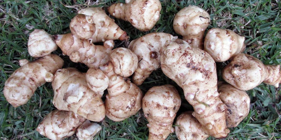 Aardpeerchips | Maaltijdbox recepten